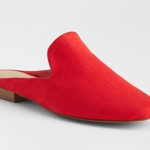 Flat Mules